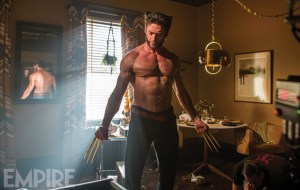 wolverine