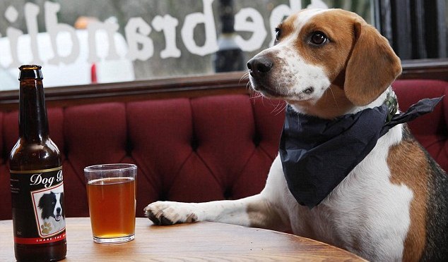 TEN THINGS I LOVE ABOUT LIFE #1 by PAUL LAIGHT